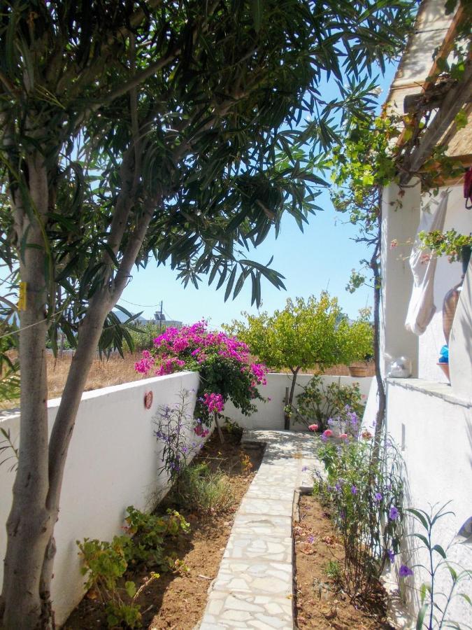 Nyfes Traditional Boutique Faltaina Skyros Buitenkant foto