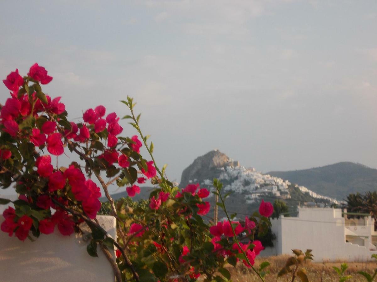 Nyfes Traditional Boutique Faltaina Skyros Buitenkant foto
